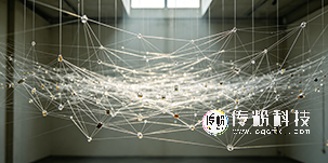 1781662445196653.png 00.png